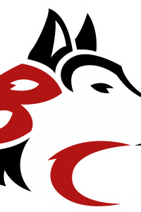 Husky Logo FINAL 3 Color
